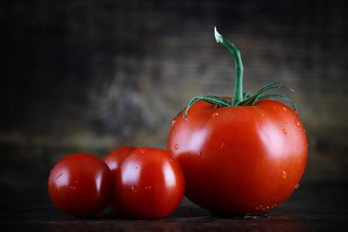 Cosa dare ai pomodori per farli diventare rossi? Il trucco dell’ortolano per averli maturi subito