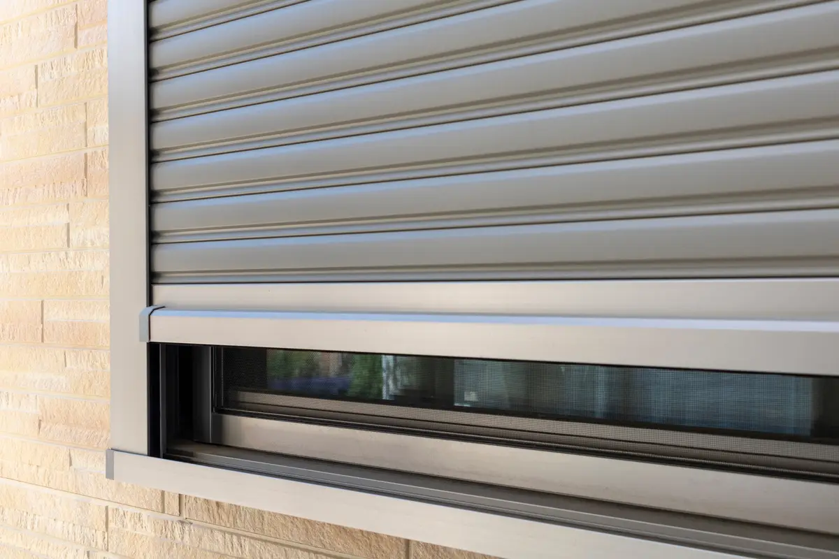 Parti e lasci la tapparella chiusa? Ecco quanto sopravvive davvero la tua pianta al buio