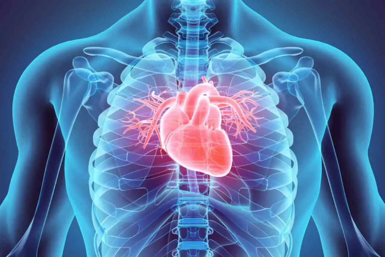 L’acronimo per le malattie cardiovascolari che dovresti conoscere: ecco cosa significa